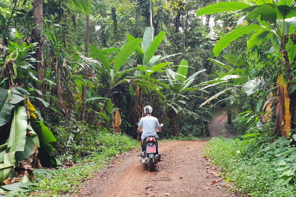 Scooter Thailand