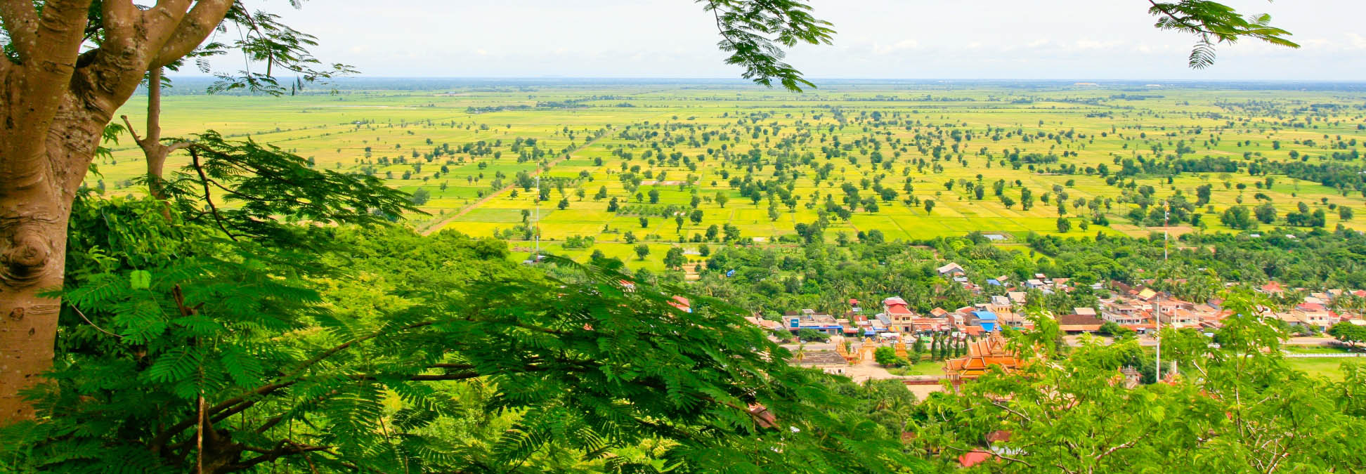 Van Siem Reap naar Battambang