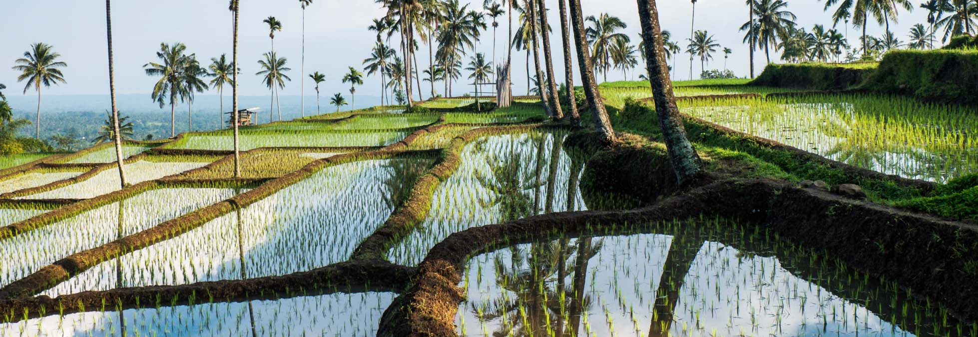 Van Nusa Penida naar Lombok