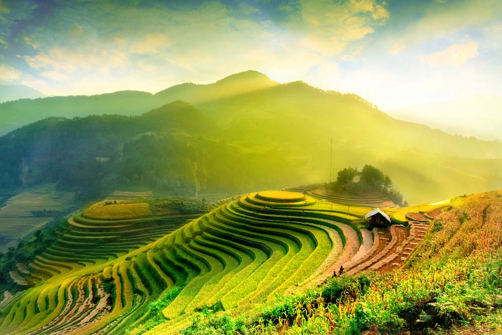 Mu Cang Chai 1