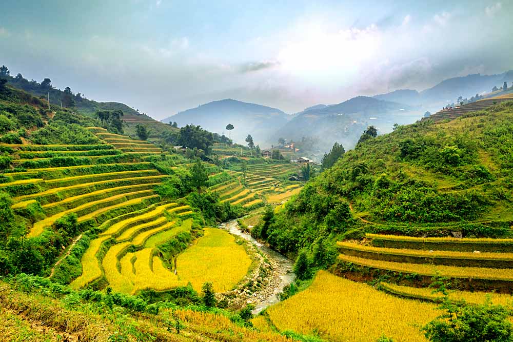 Mu Cang Chai 10