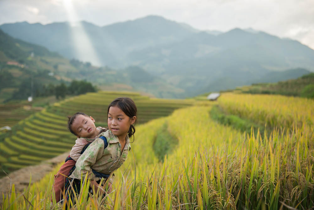 Mu Cang Chai 2