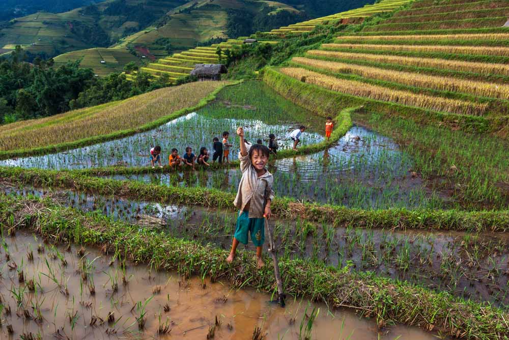 Mu Cang Chai 3