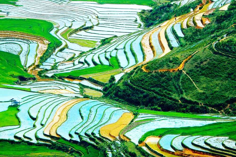 Mu Cang Chai 4