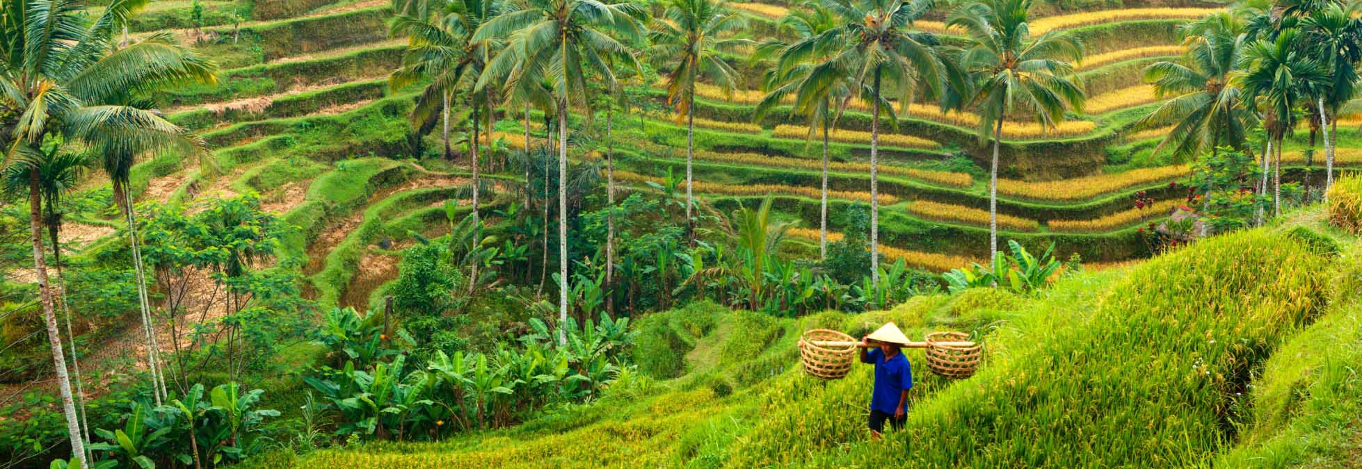 Van Uluwatu naar Ubud