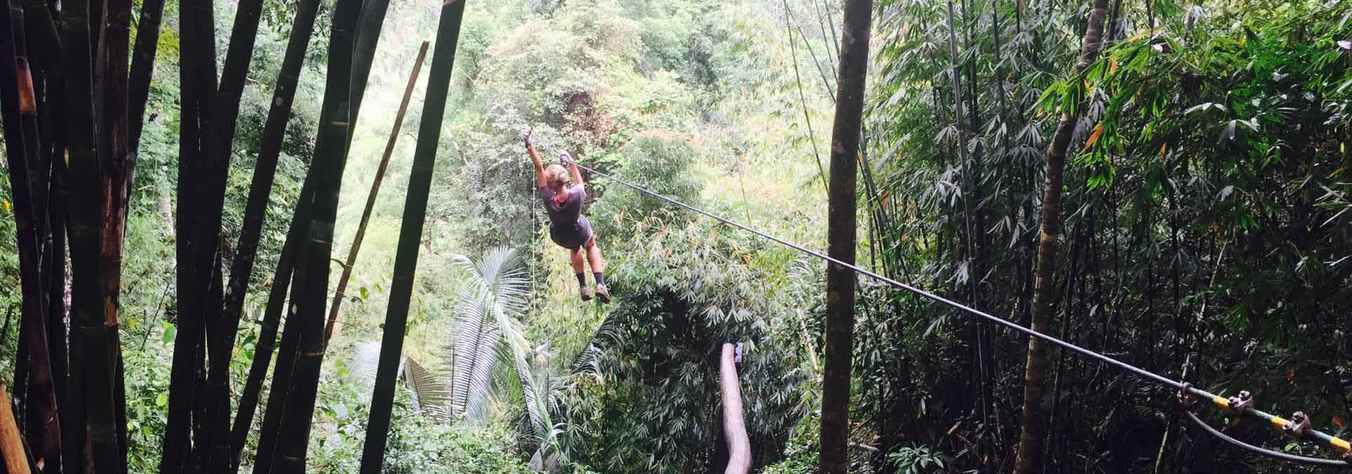 De Gibbon Experience in Laos