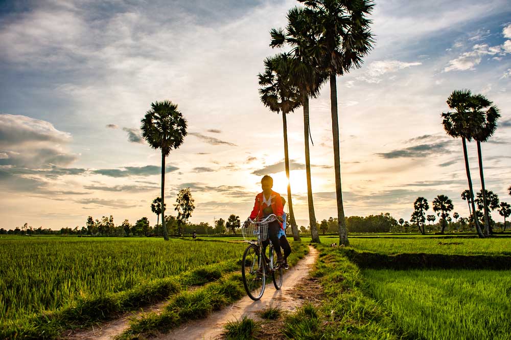 Mekong Delta