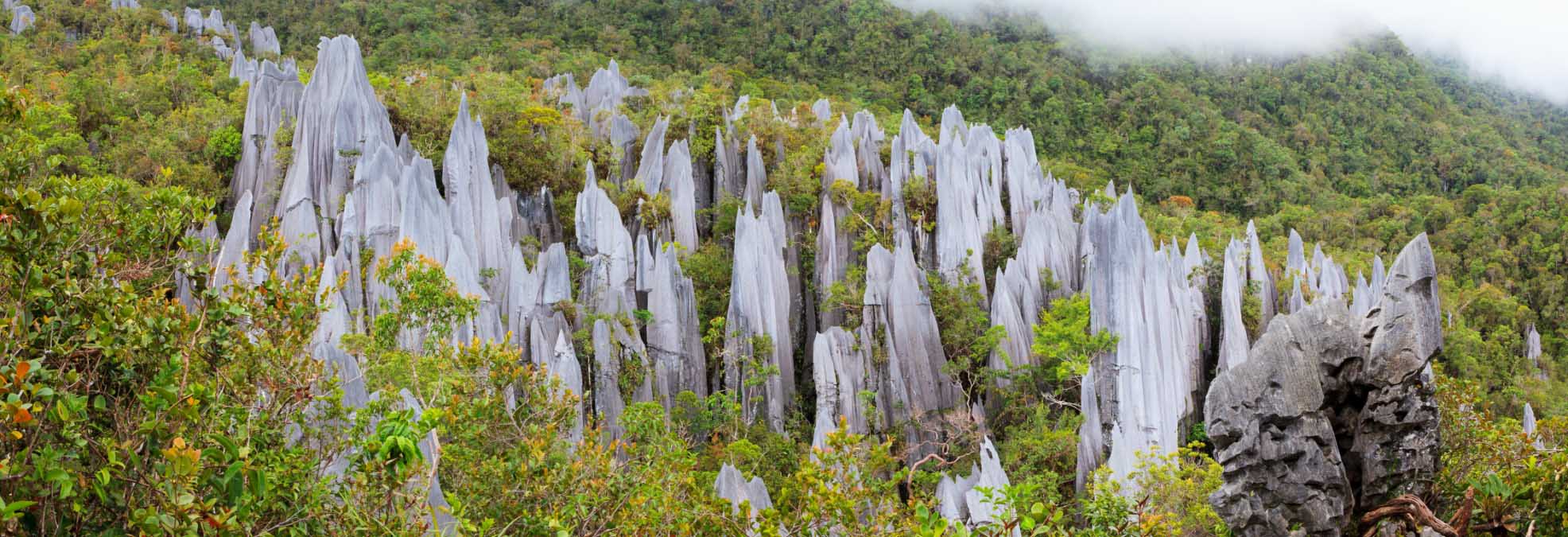 Het Gunung Mulu nationaal park op Borneo