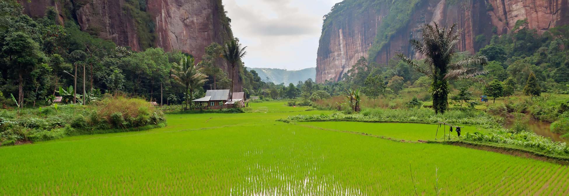 Visum Indonesië