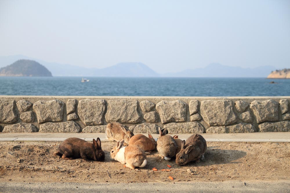 Okunoshima