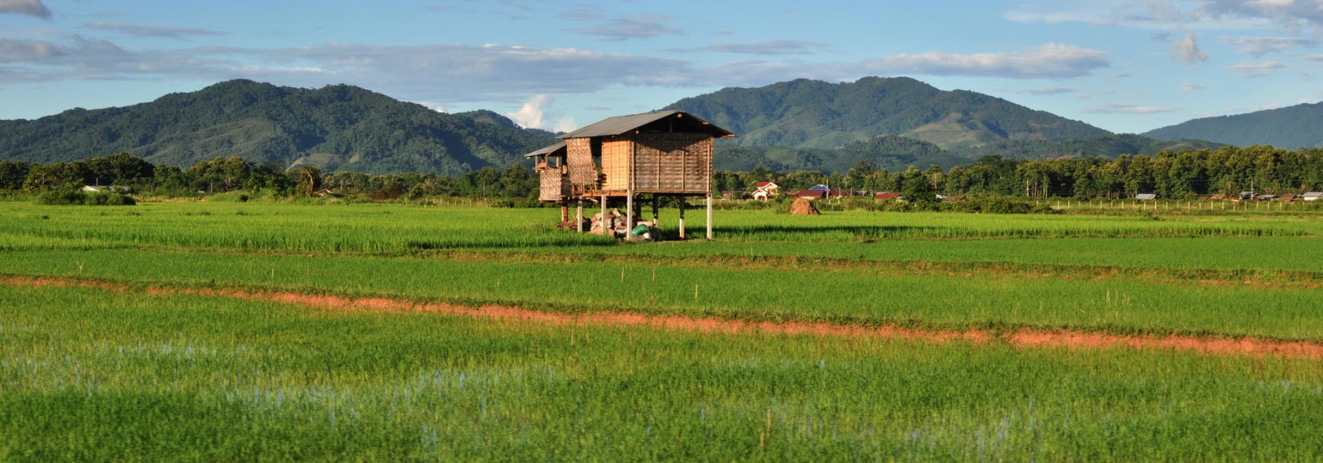 Van Huay Xai naar Luang Namtha