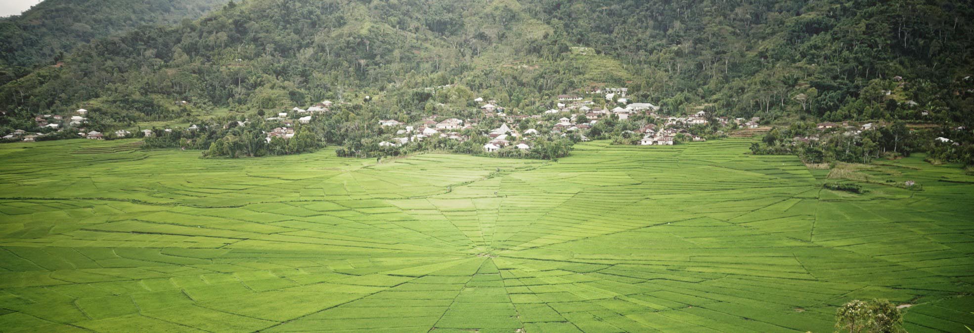 Vrijwilligerswerk Indonesië