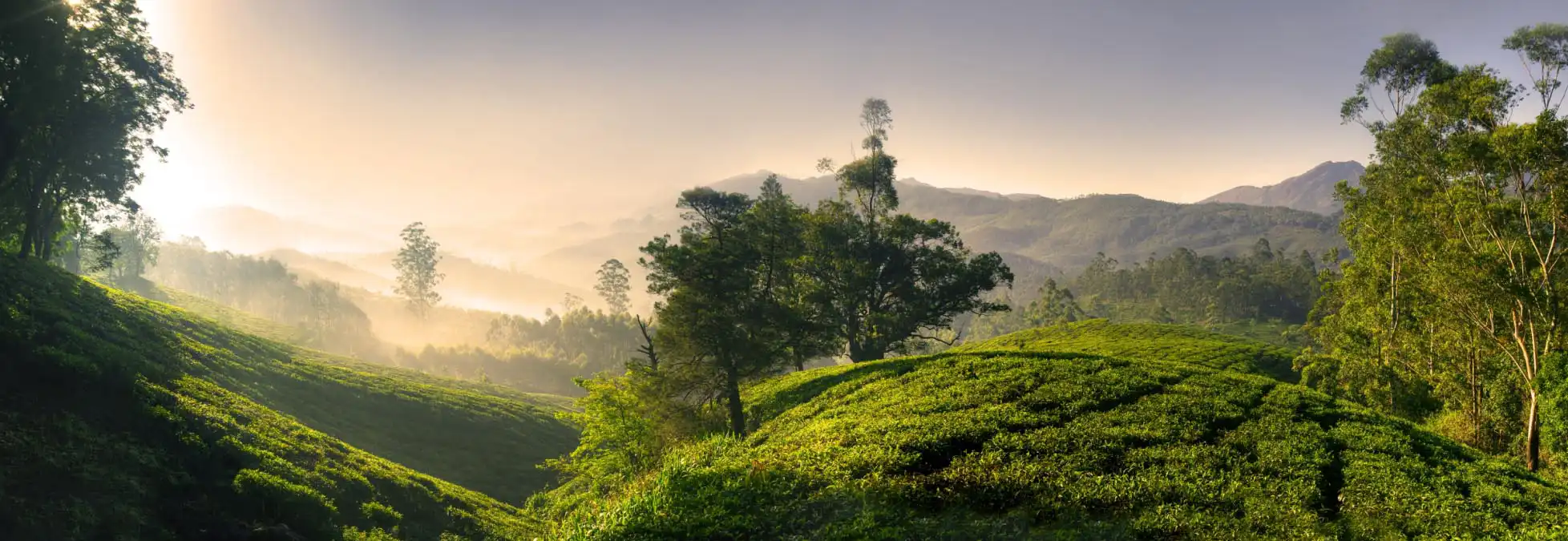 Kerala