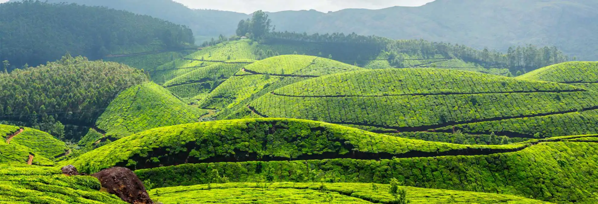 Munnar