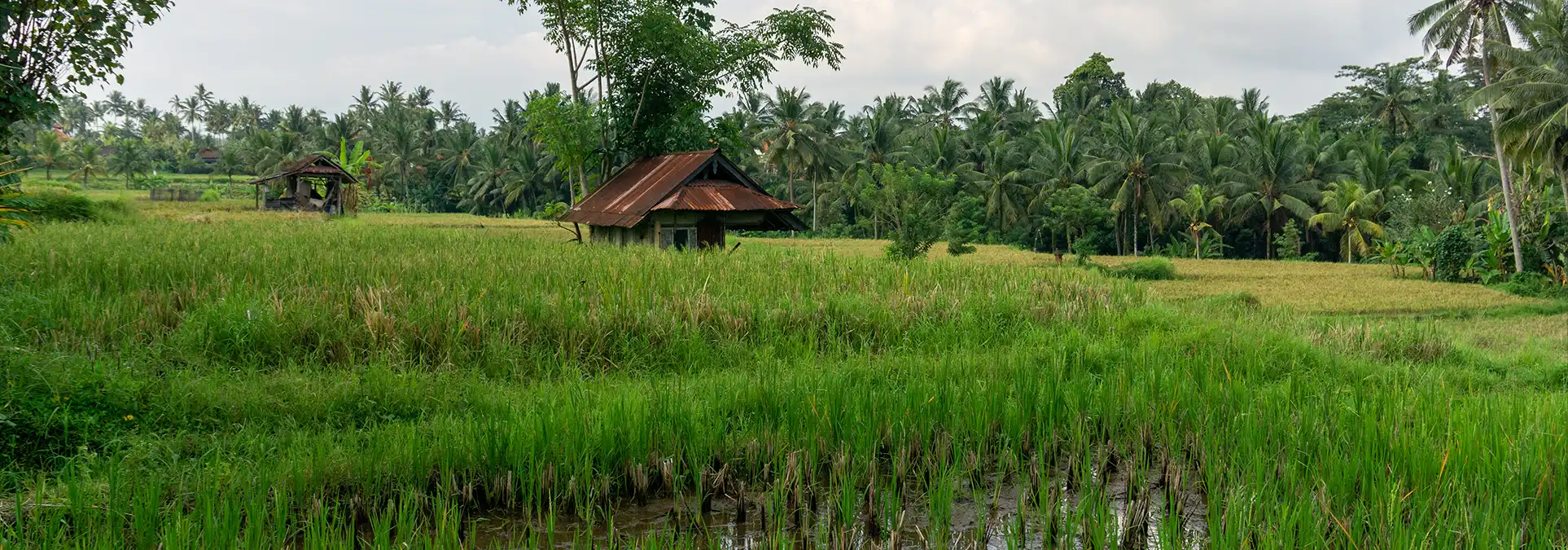 Beste reistijd Indonesië